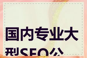 国内专业大型SEO公司