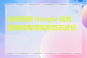 如何使用 Google 反向图像搜索查看网页历史快照