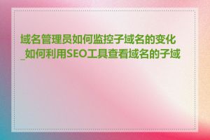 域名管理员如何监控子域名的变化_如何利用SEO工具查看域名的子域名