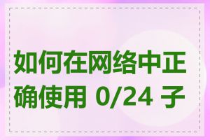 如何在网络中正确使用 0/24 子网
