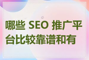 哪些 SEO 推广平台比较靠谱和有效