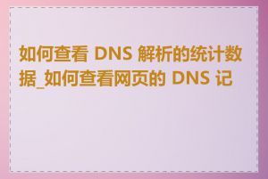 如何查看 DNS 解析的统计数据_如何查看网页的 DNS 记录