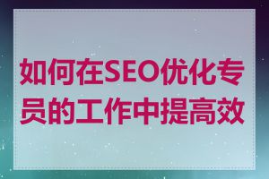 如何在SEO优化专员的工作中提高效率