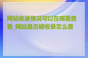 网站收录情况可以在哪里查看_网站是否被收录怎么查看