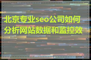 北京专业seo公司如何分析网站数据和监控效果
