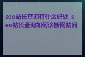 seo站长查询有什么好处_seo站长查询如何诊断网站问题