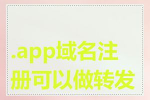 .app域名注册可以做转发吗
