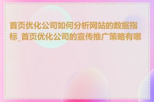 首页优化公司如何分析网站的数据指标_首页优化公司的宣传推广策略有哪些