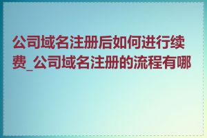 公司域名注册后如何进行续费_公司域名注册的流程有哪些