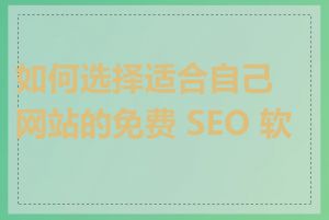 如何选择适合自己网站的免费 SEO 软件