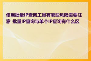 使用批量IP查询工具有哪些风险需要注意_批量IP查询与单个IP查询有什么区别