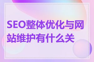 SEO整体优化与网站维护有什么关系