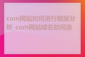 com网站如何进行数据分析_com网站域名如何选择