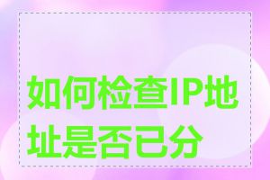 如何检查IP地址是否已分配
