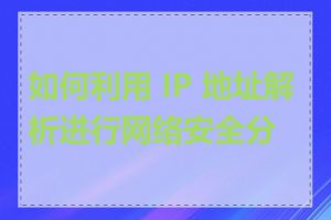如何利用 IP 地址解析进行网络安全分析