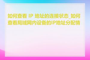 如何查看 IP 地址的连接状态_如何查看局域网内设备的IP地址分配情况