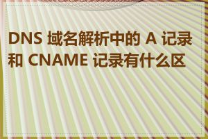 DNS 域名解析中的 A 记录和 CNAME 记录有什么区别