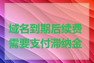 域名到期后续费需要支付滞纳金吗