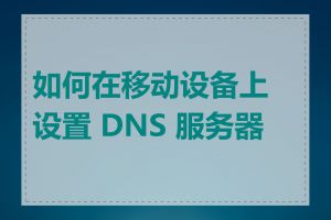 如何在移动设备上设置 DNS 服务器 P