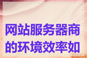 网站服务器商的环境效率如何