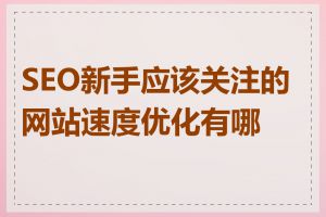 SEO新手应该关注的网站速度优化有哪些