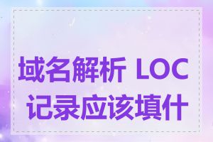 域名解析 LOC 记录应该填什么