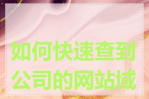 如何快速查到公司的网站域名