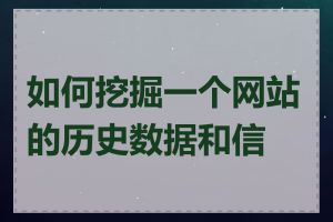 如何挖掘一个网站的历史数据和信息