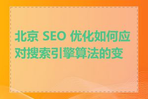 北京 SEO 优化如何应对搜索引擎算法的变化