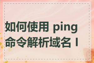 如何使用 ping 命令解析域名 IP