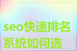 seo快速排名系统如何选择