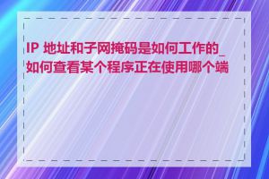 IP 地址和子网掩码是如何工作的_如何查看某个程序正在使用哪个端口