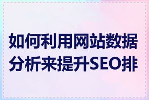如何利用网站数据分析来提升SEO排名