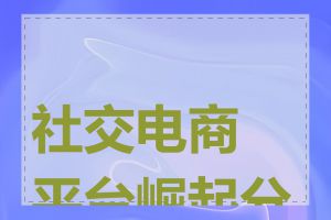 社交电商平台崛起分析