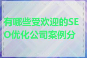 有哪些受欢迎的SEO优化公司案例分享