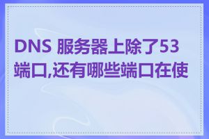 DNS 服务器上除了53端口,还有哪些端口在使用