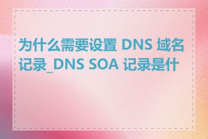 为什么需要设置 DNS 域名记录_DNS SOA 记录是什么