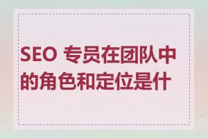 SEO 专员在团队中的角色和定位是什么