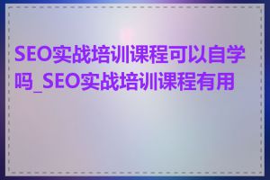 SEO实战培训课程可以自学吗_SEO实战培训课程有用吗