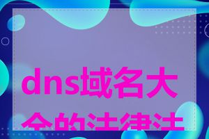 dns域名大全的法律法规