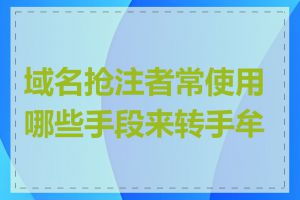 域名抢注者常使用哪些手段来转手牟利