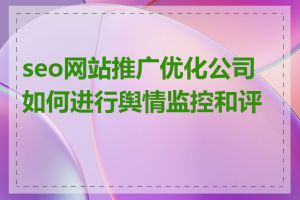 seo网站推广优化公司如何进行舆情监控和评估
