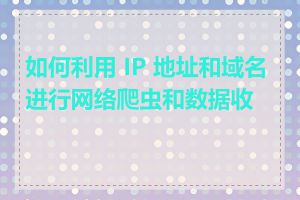 如何利用 IP 地址和域名进行网络爬虫和数据收集