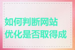 如何判断网站优化是否取得成效