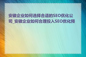 安徽企业如何选择合适的SEO优化公司_安徽企业如何合理投入SEO优化预算
