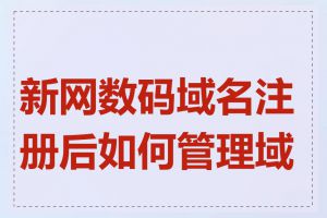 新网数码域名注册后如何管理域名