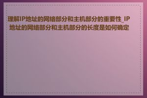 理解IP地址的网络部分和主机部分的重要性_IP 地址的网络部分和主机部分的长度是如何确定的