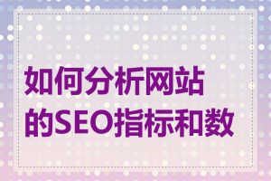 如何分析网站的SEO指标和数据