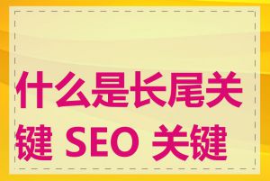 什么是长尾关键 SEO 关键词