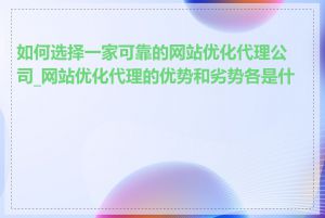 如何选择一家可靠的网站优化代理公司_网站优化代理的优势和劣势各是什么